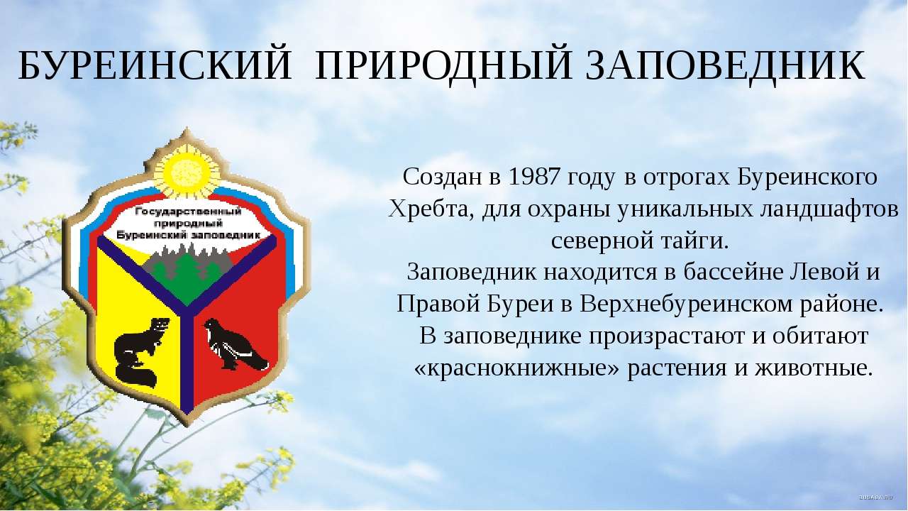 Заповедники хабаровского края. Буреинский заповедник Хабаровский край. Буреинский заповедник на карте. Буреинский заповедник эмблема.