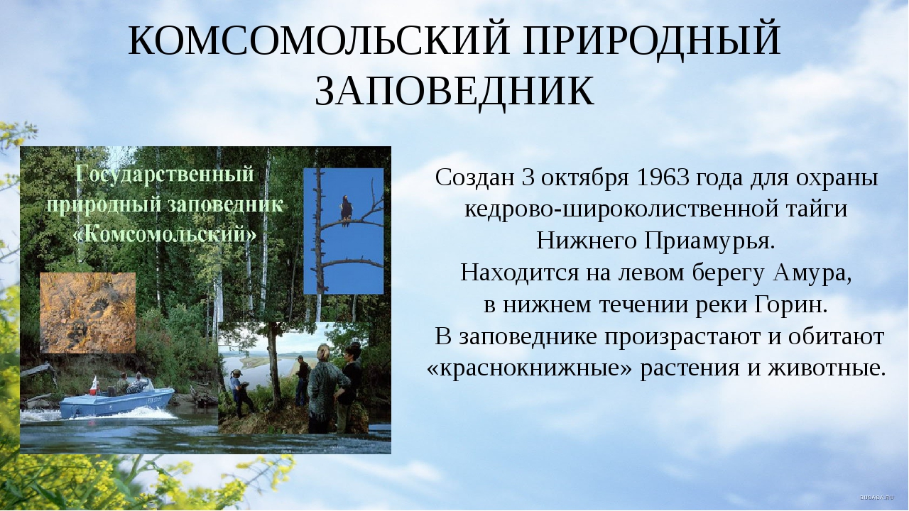 Сообщение о заповеднике. Заповедники Хабаровского края. Хабаровск природный заповедник. Заповедные места Хабаровского края. Презентация на тему заповедники Хабаровского края.