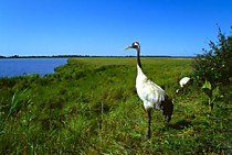 Болоньский заповедник